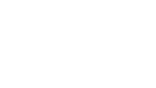 Der Rattenkäfig
